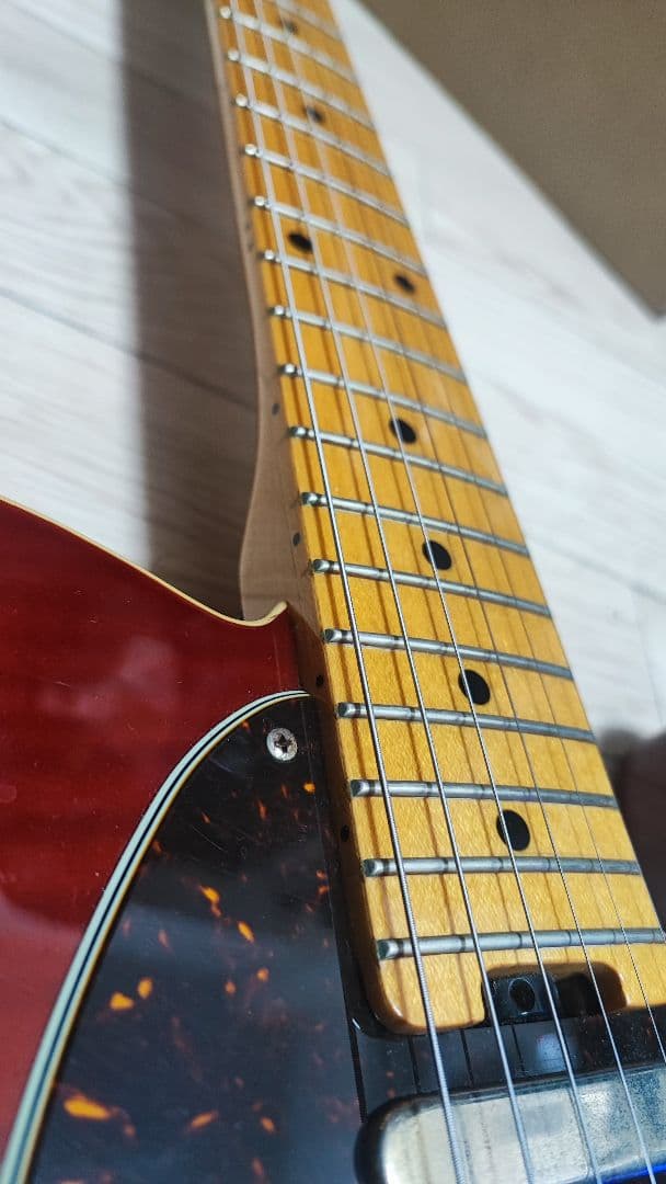 EDWARDS TLタイプ ハニーサンバースト