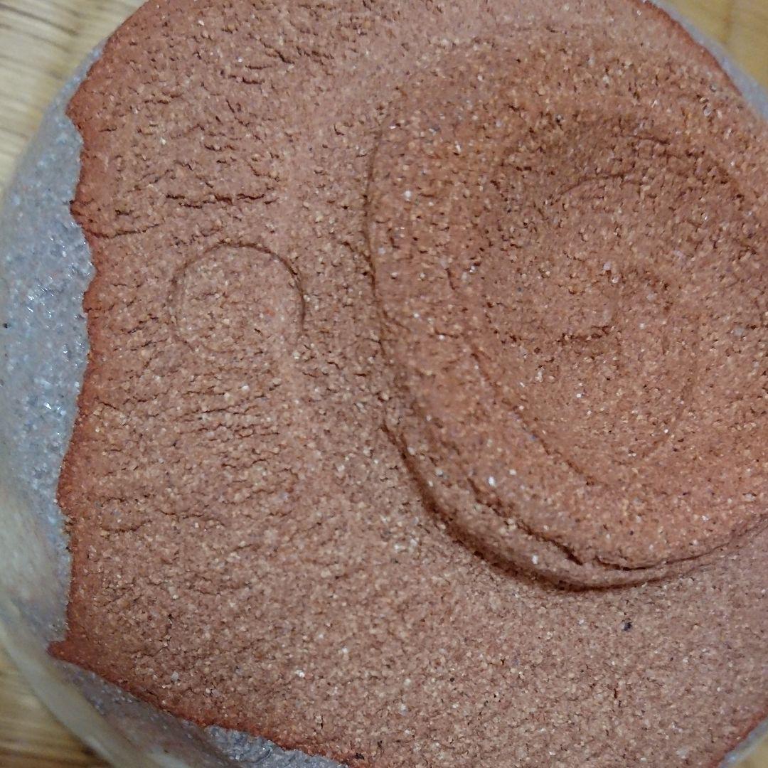 茶道具  茶碗  裂白釉  目白  メジロ 鳥  竹桂庵西山作  可愛い