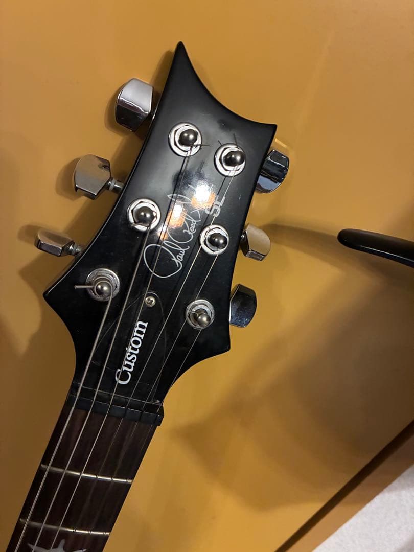 コルグ PRS SE Custom 24 (WMI製)