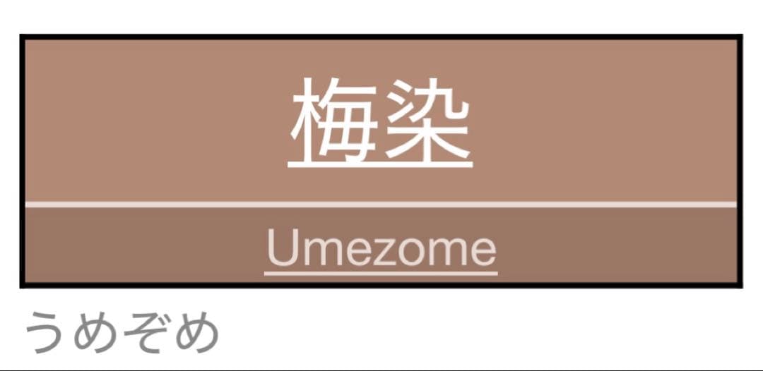未使用近い 美品 正絹 絽 訪問着　フルセット ４点 たたき染め 裄70