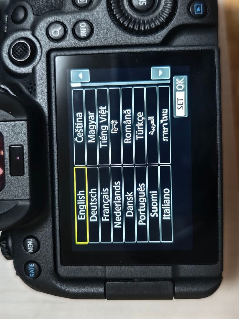 Canon EOS R6 Mark2 ボディシャッター回数1750元旦特価