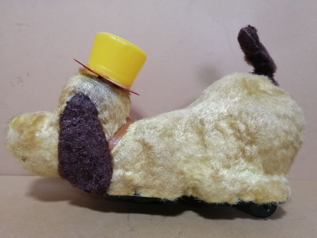 アオシン　元気な仔犬　日本製