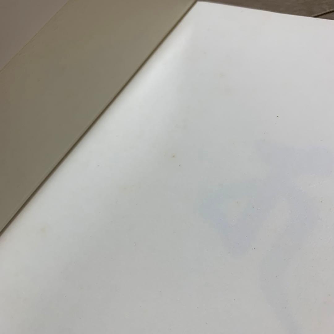 【希少！】東大寺お水取り 普及版: 二月堂修二会の記録と研究