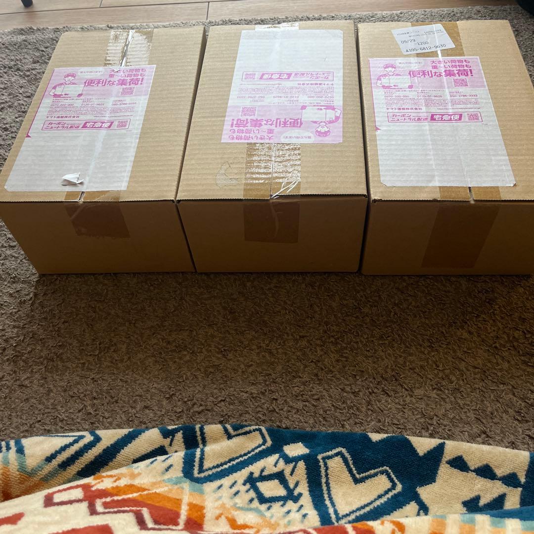 【3種類BOXセット】ポケモンセンター産　スペシャルボックス　未開封