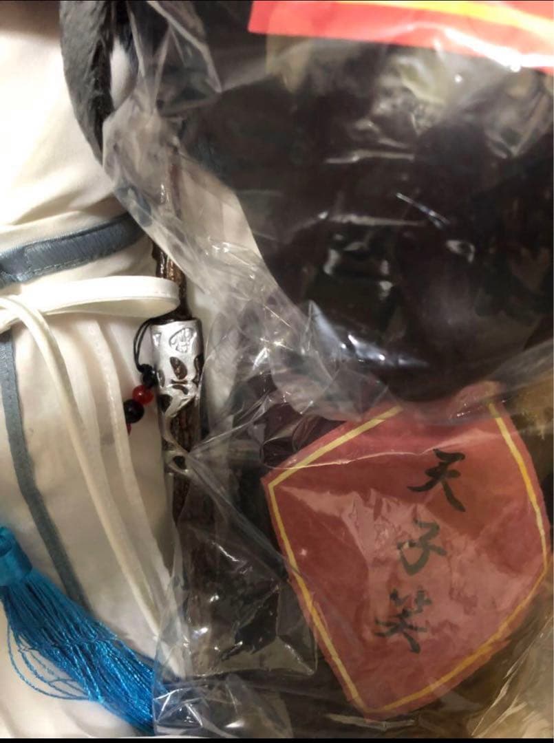 激レア 博君一肖 陳情令 座学時代 藍湛 魏嬰 ぬいぐるみ40cm + 衣装小物