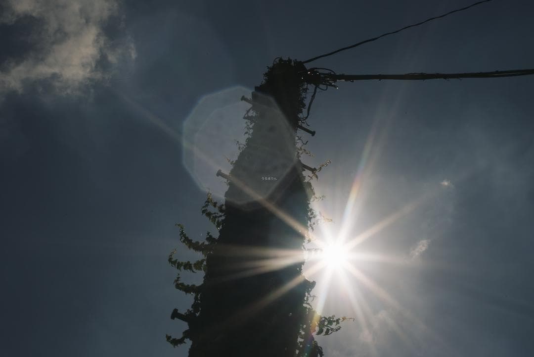 希少！赤エルマーダイヤ入り！Leica Elmar 50mm F3.5