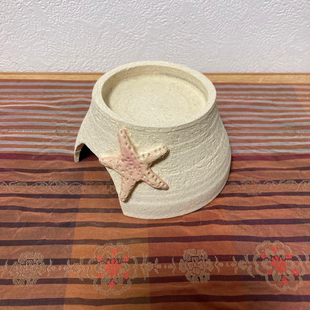 爬虫類シェルター　405 ヒトデピンク