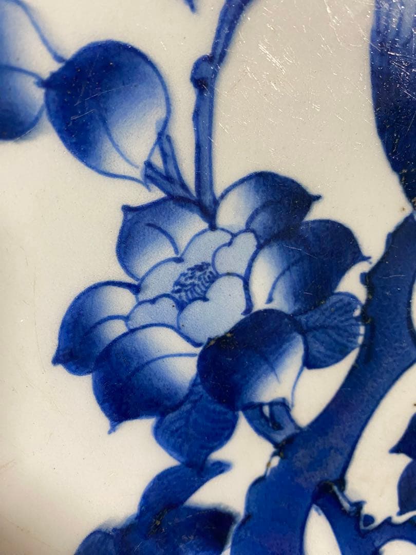 ■古伊万里 志田窯「椿に鳥文10寸皿」■検）大皿江戸後期図変わり皿