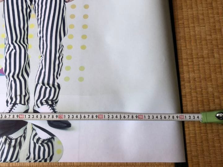 嵐　特大ポスター(2m×1.3m)【僕の見ている風景】