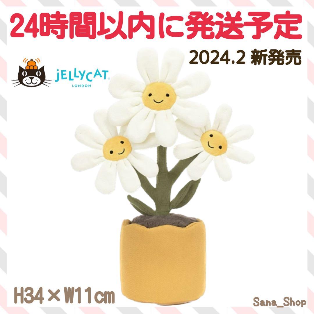新品　ジェリーキャット　デイジー　花　観葉植物　インテリア　雛菊　ヒナギク