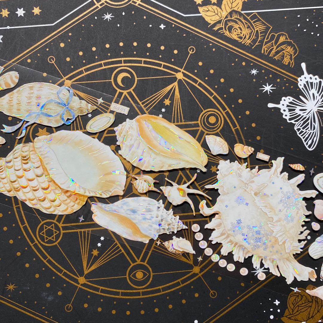 【9262】海外　マステ　中古巻　貝殻光マスキングテープ　貝　装飾系