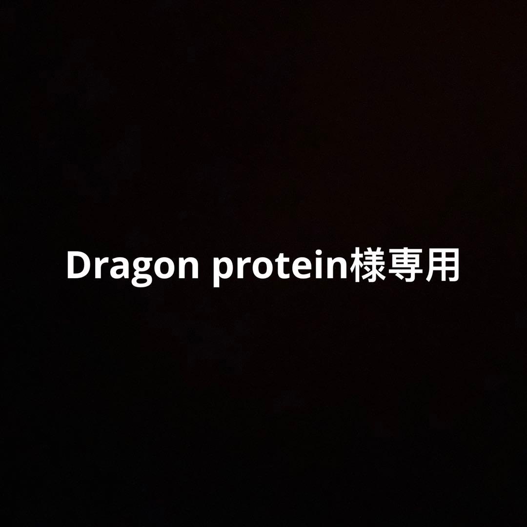 特撮 Dragon protein
