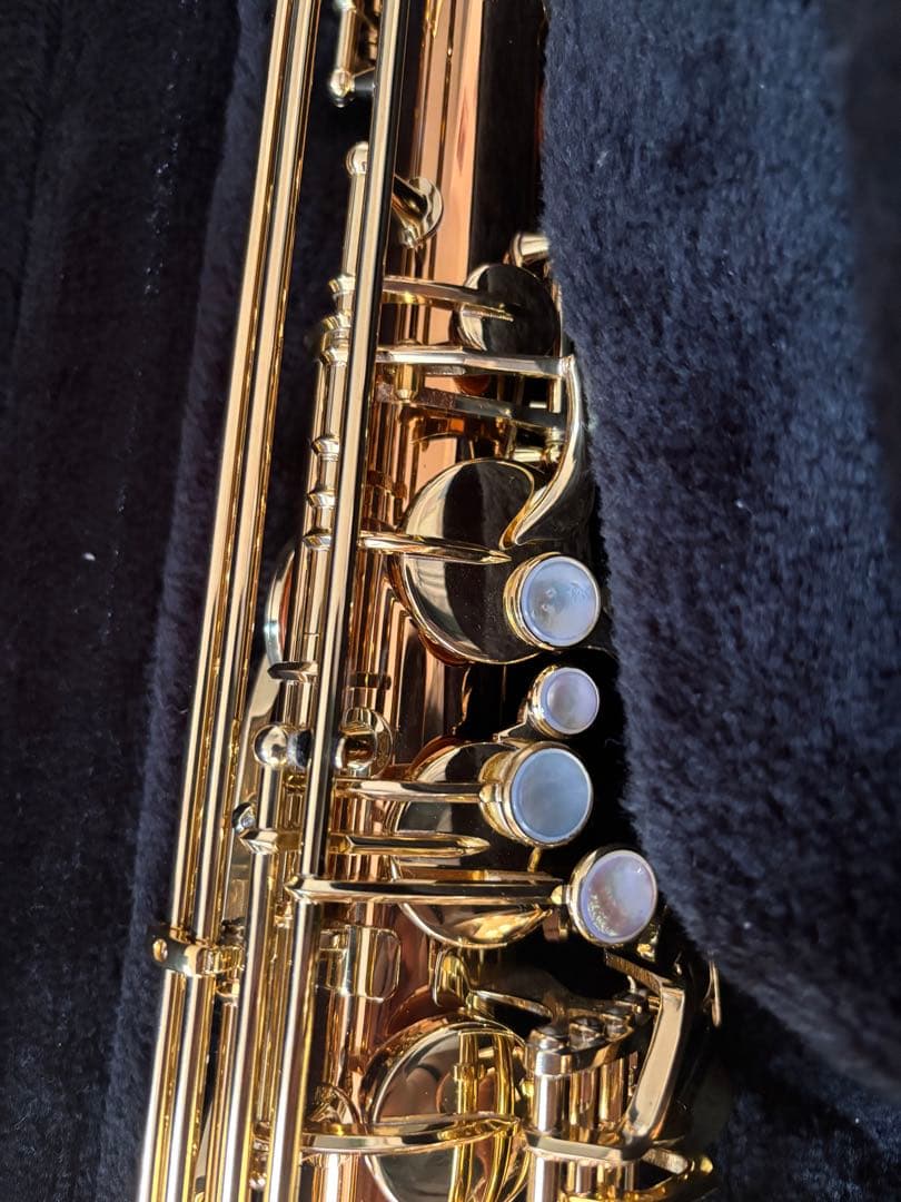 ヤナギサワ　テナーサックス　T-WO02 Tenor Saxphone