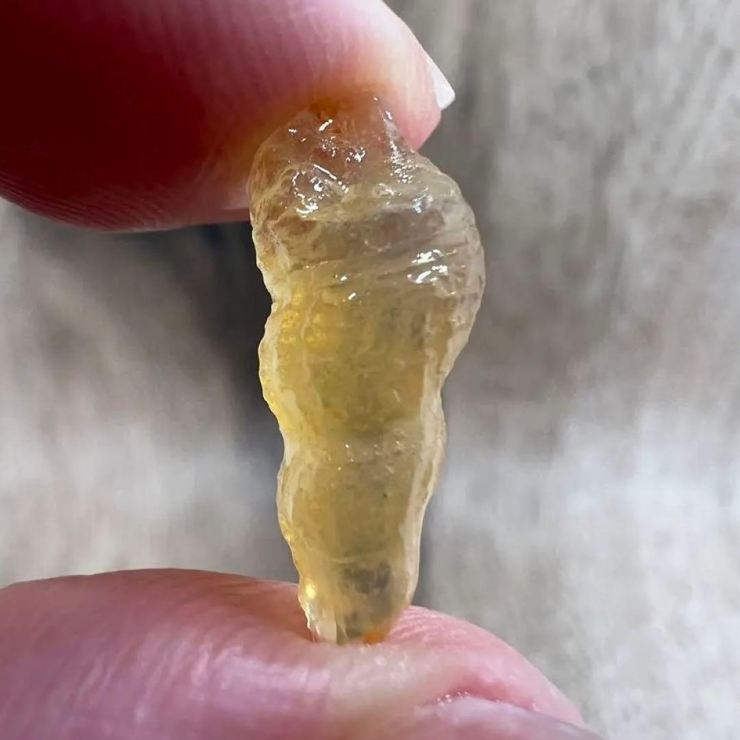 オパライズドシェル オパール 貝 巻貝 鉱物 標本 原石