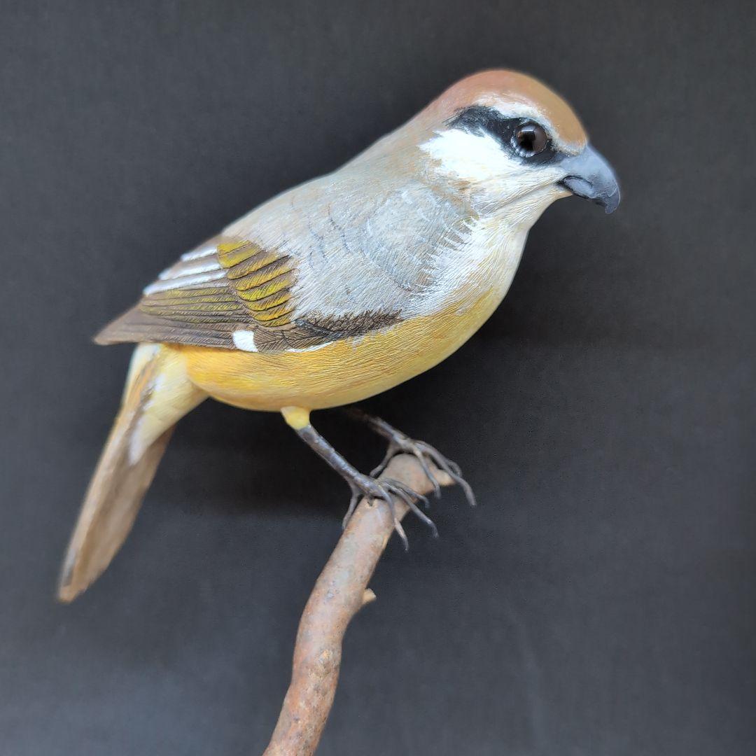 リアルな木製の野鳥　「モズ」　 木彫りの野鳥　バードカービング　野鳥彫刻