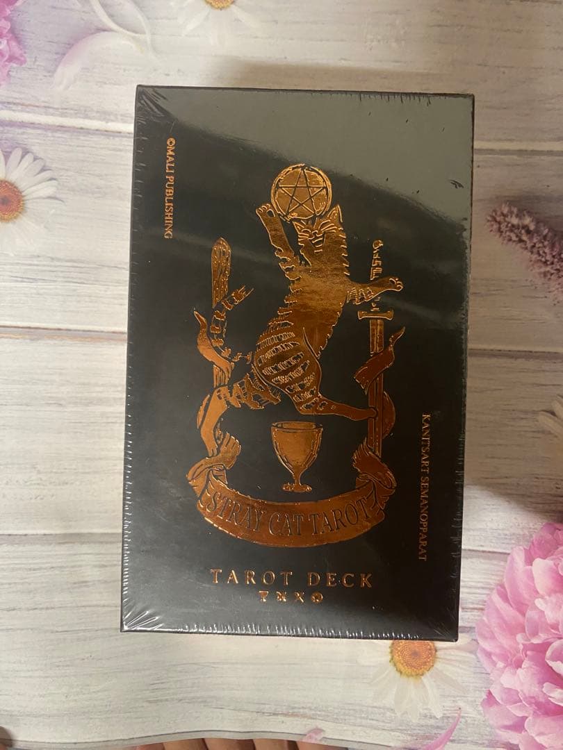 STRAY CAT TAROT BLACK EDITION 猫 タロット 占い