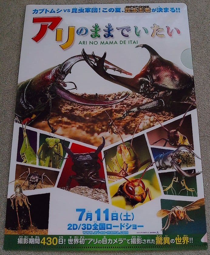 映画　アリのままでいたい　クリアファイル　入手困難　レア　希少品