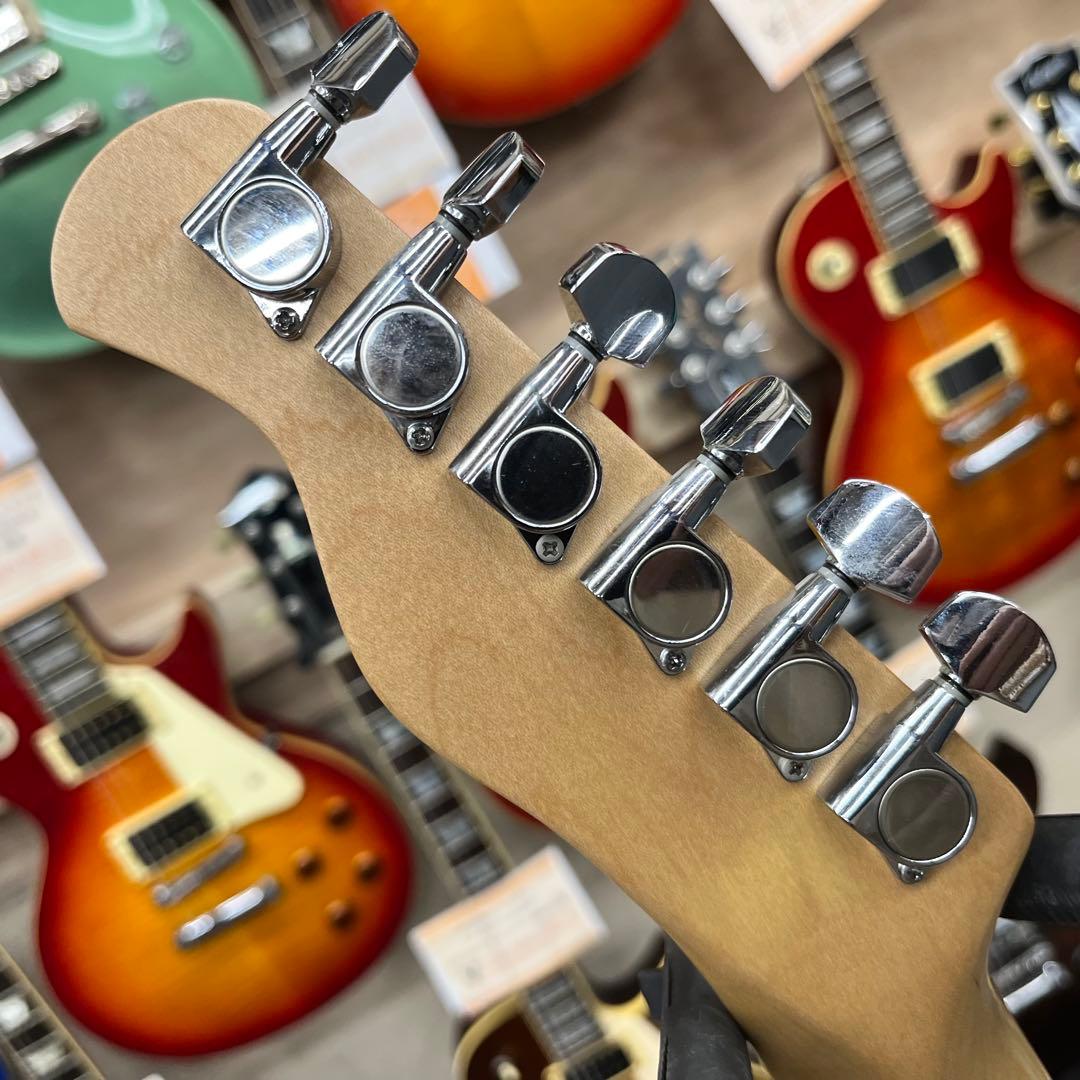 【11402】Bacchus メタリックブルー バインディング