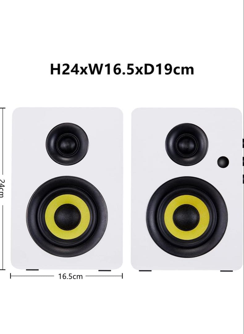 Sanyun SW206 80 モニタースピーカー