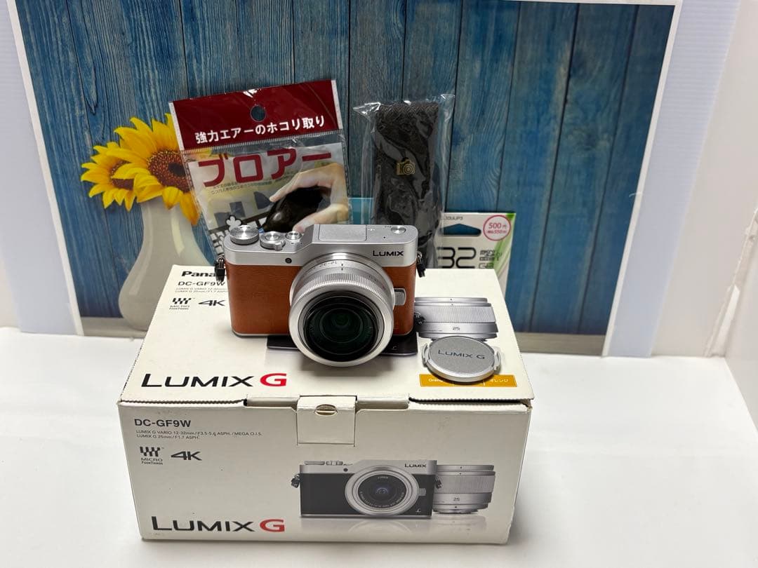 ショット数611回 LUMIX GF9 SNS Wi-Fi チルト ミラーレス