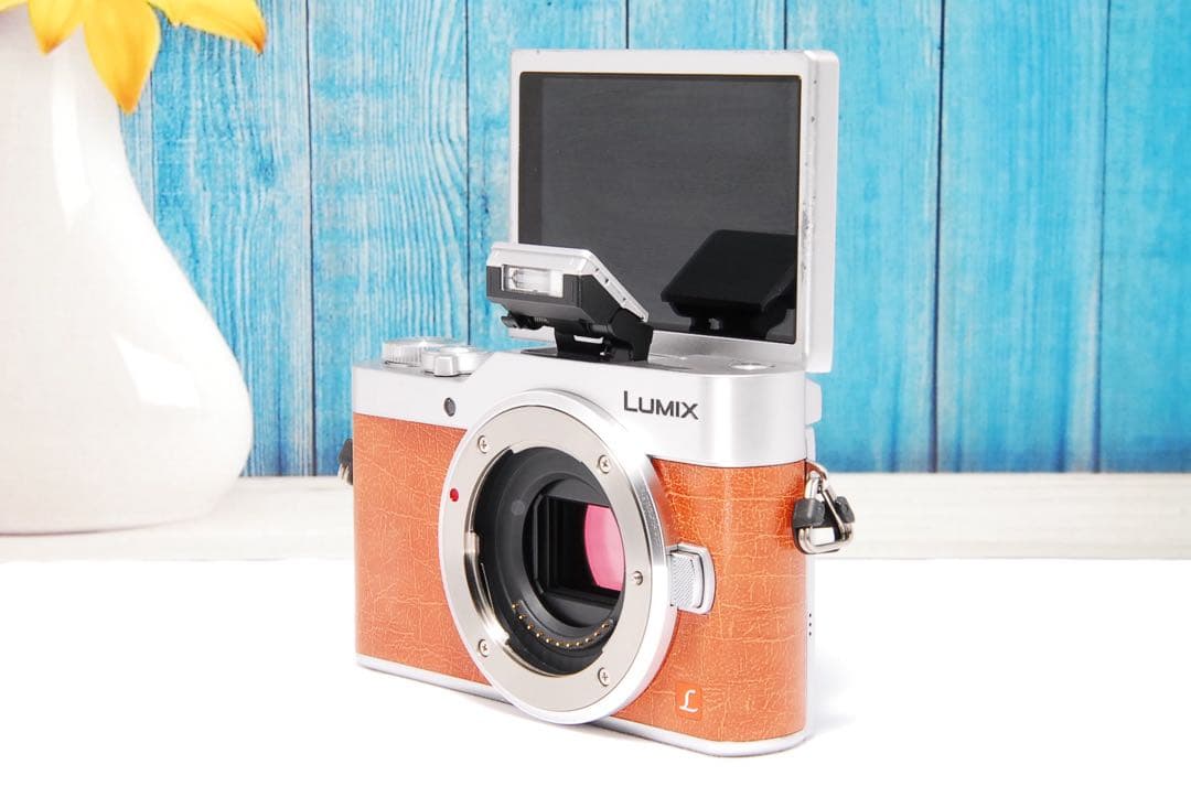 ショット数611回 LUMIX GF9 SNS Wi-Fi チルト ミラーレス