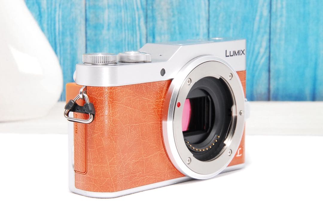 ショット数611回 LUMIX GF9 SNS Wi-Fi チルト ミラーレス