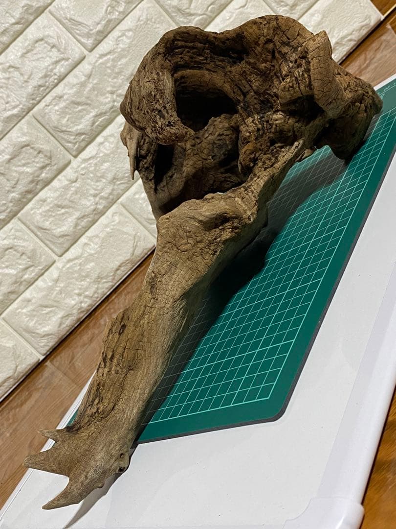 コエポンさま専用おまとめ