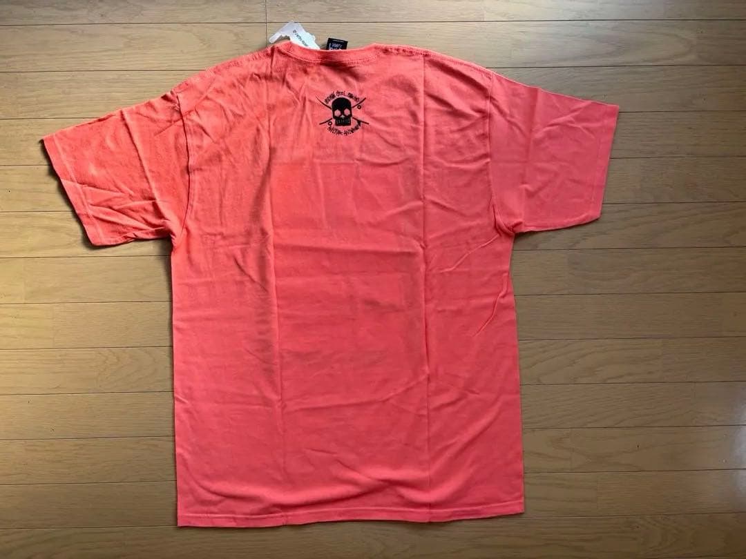 STÜSSY Heel Bruise フォトTシャツ XL タグ付