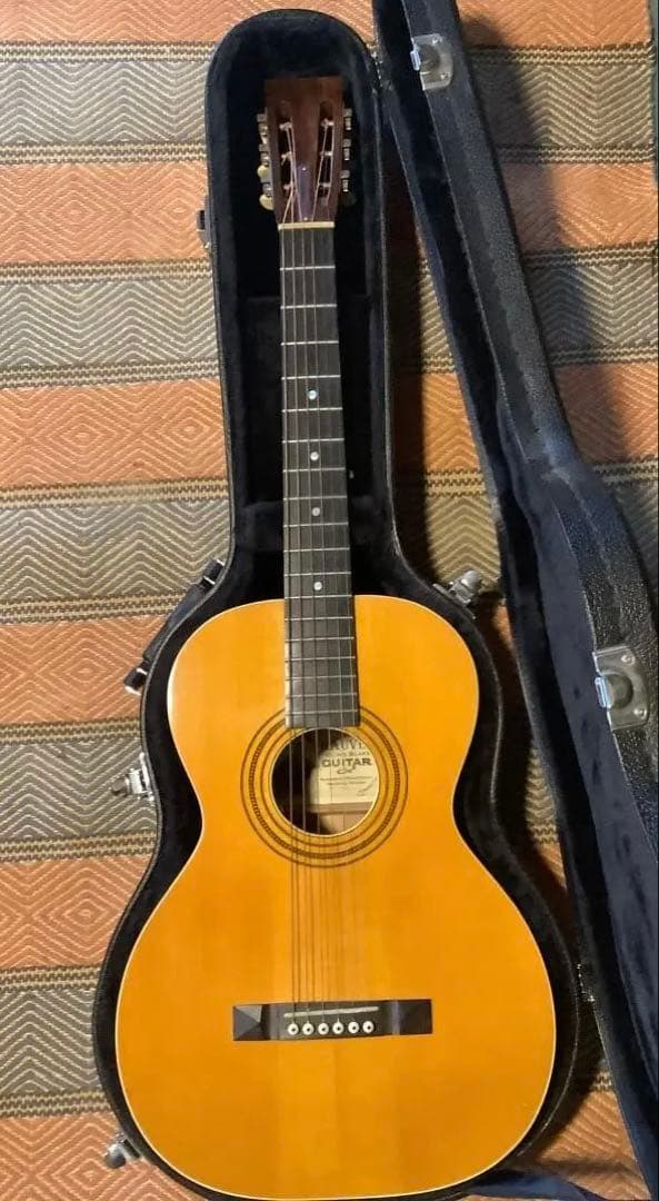 ハウバー ブラインド ブレイル ギター