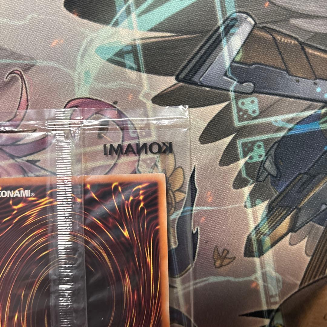 日本選手権 2024 2期 優勝プロモ