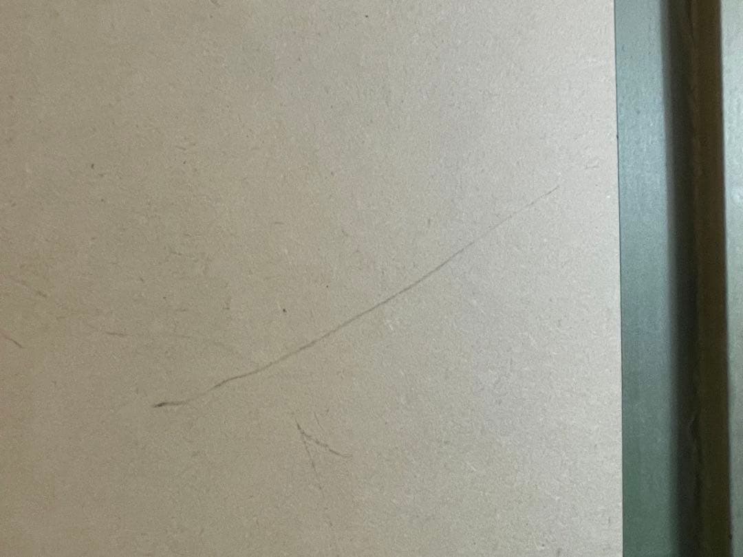 トレンツ・リャド【デフラ】リトグラフ 娘サイン入り