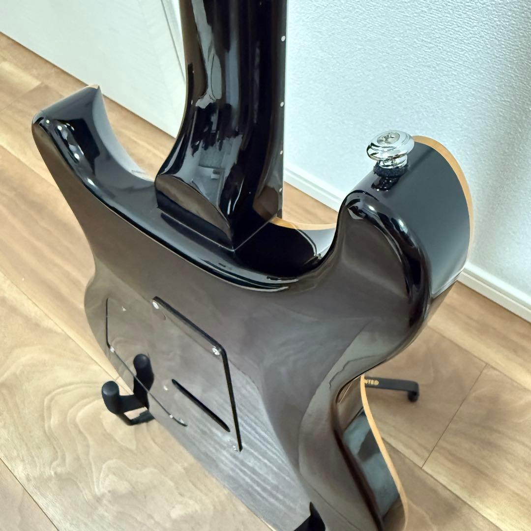 PRS(Paul Reed Smith) SE Custom24 (付属品多数)