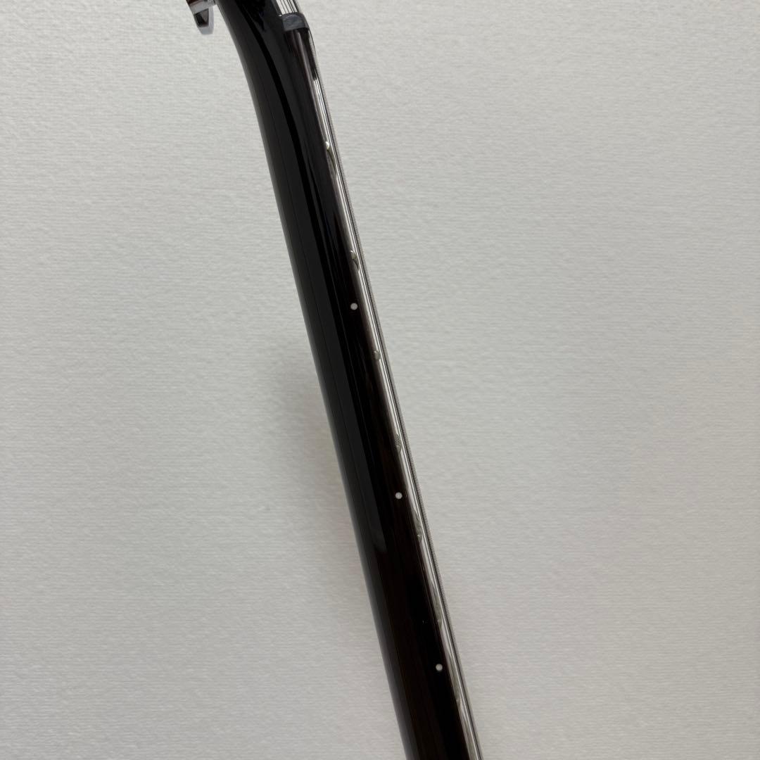 PRS(Paul Reed Smith) SE Custom24 (付属品多数)