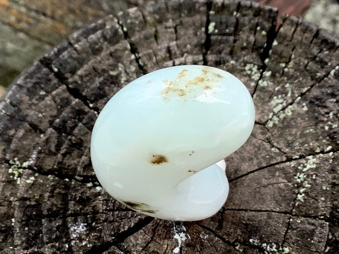 ✳今年2個目のトロトロ勾玉‼️ 酸化鉄入り糸魚川翡翠　抜群全面透過　鑑別書取得品‼️