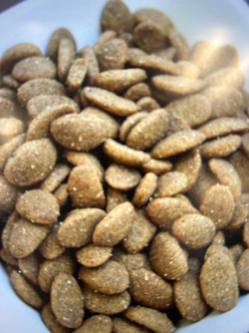 Supremo ドライフード 6kg