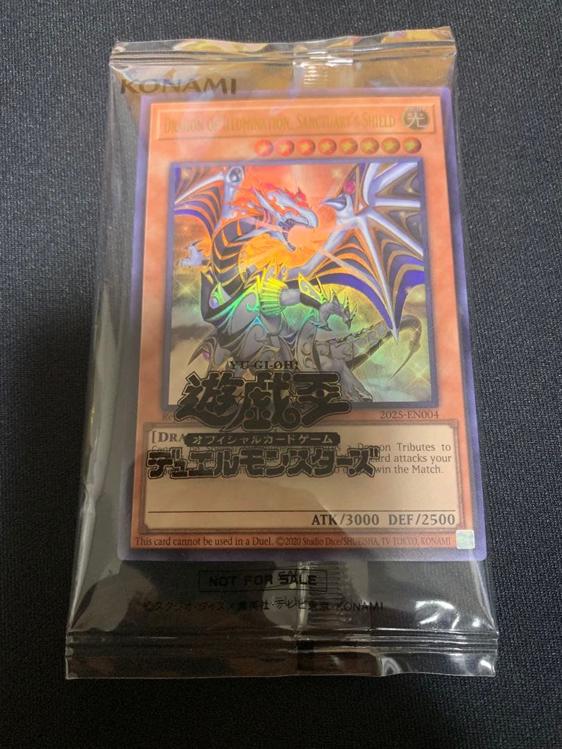 Dragon of Illumination 日本選手権　プロモ