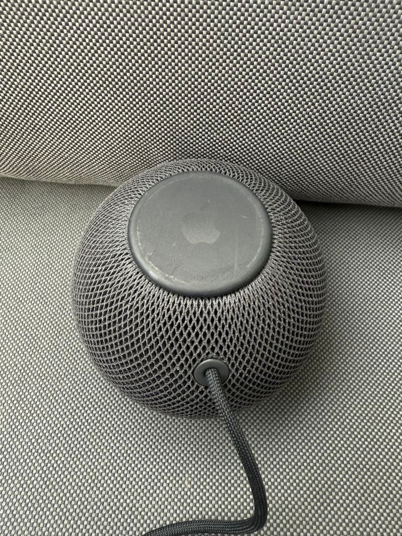 Apple Pod mini (黒)