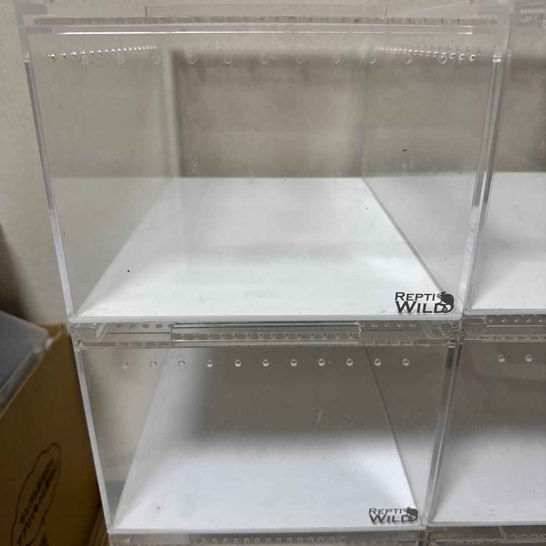 レプタイルボックス(三晃商会SANKO)8個セット