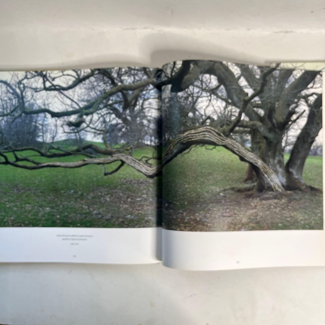 現代美術家アンディゴールズウォスリイ写真集　 ボイス