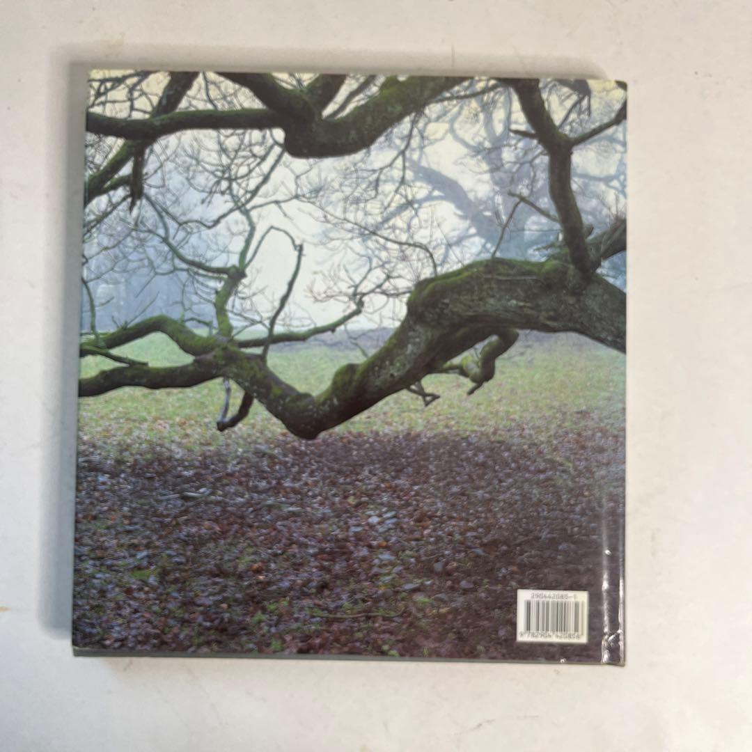 現代美術家アンディゴールズウォスリイ写真集　 ボイス