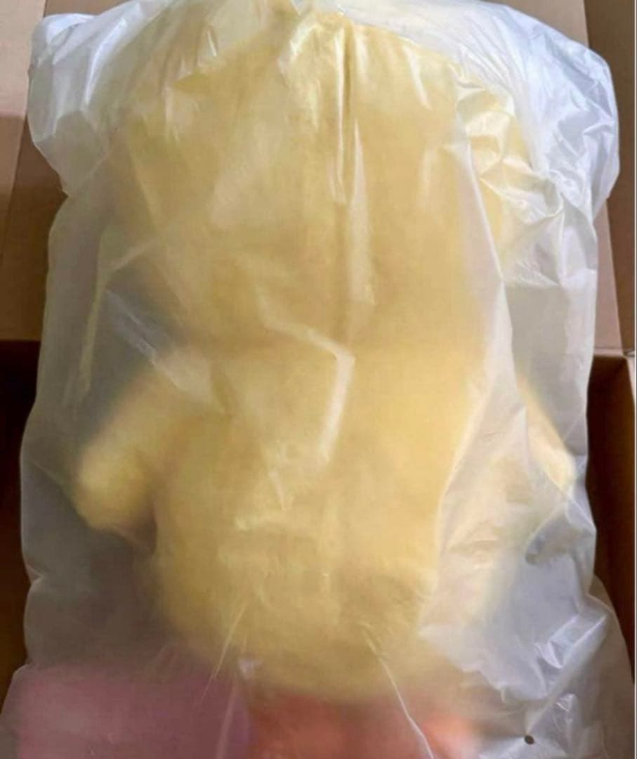 Stray Kids SKZOO PLUSH テディベア Ver.ポガ