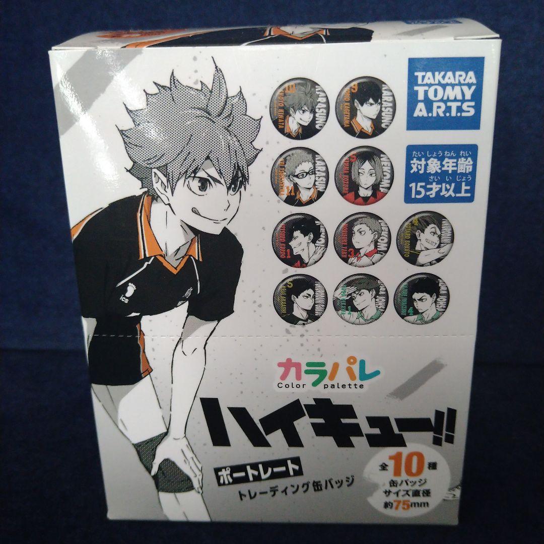 ハイキュー!!缶バッジ全10種　ポートレート　カラパレ　BOX