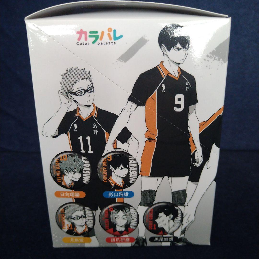 ハイキュー!!缶バッジ全10種　ポートレート　カラパレ　BOX