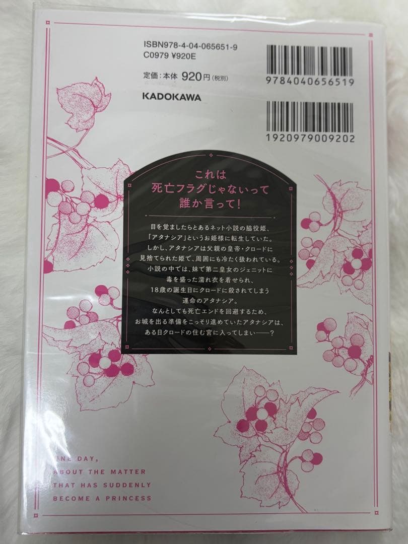 ある日、お姫様になってしまった件について