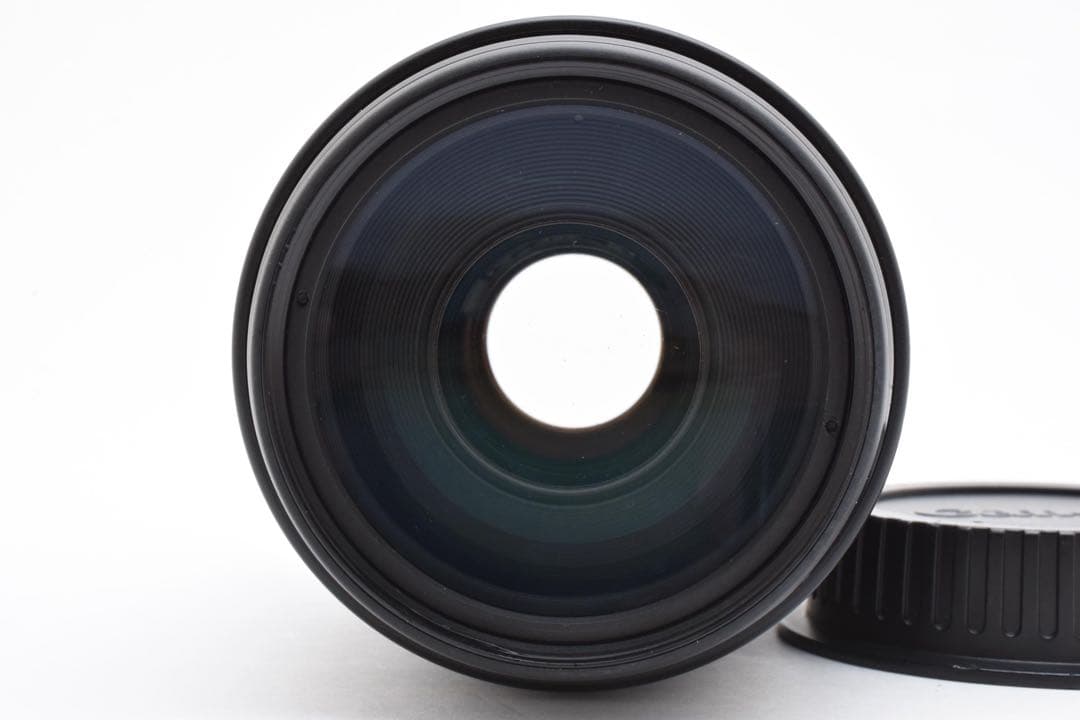 デジタル一眼レフカメラCanon EF 100-300mm F 4.5-5.6