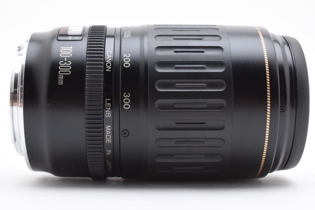 デジタル一眼レフカメラCanon EF 100-300mm F 4.5-5.6