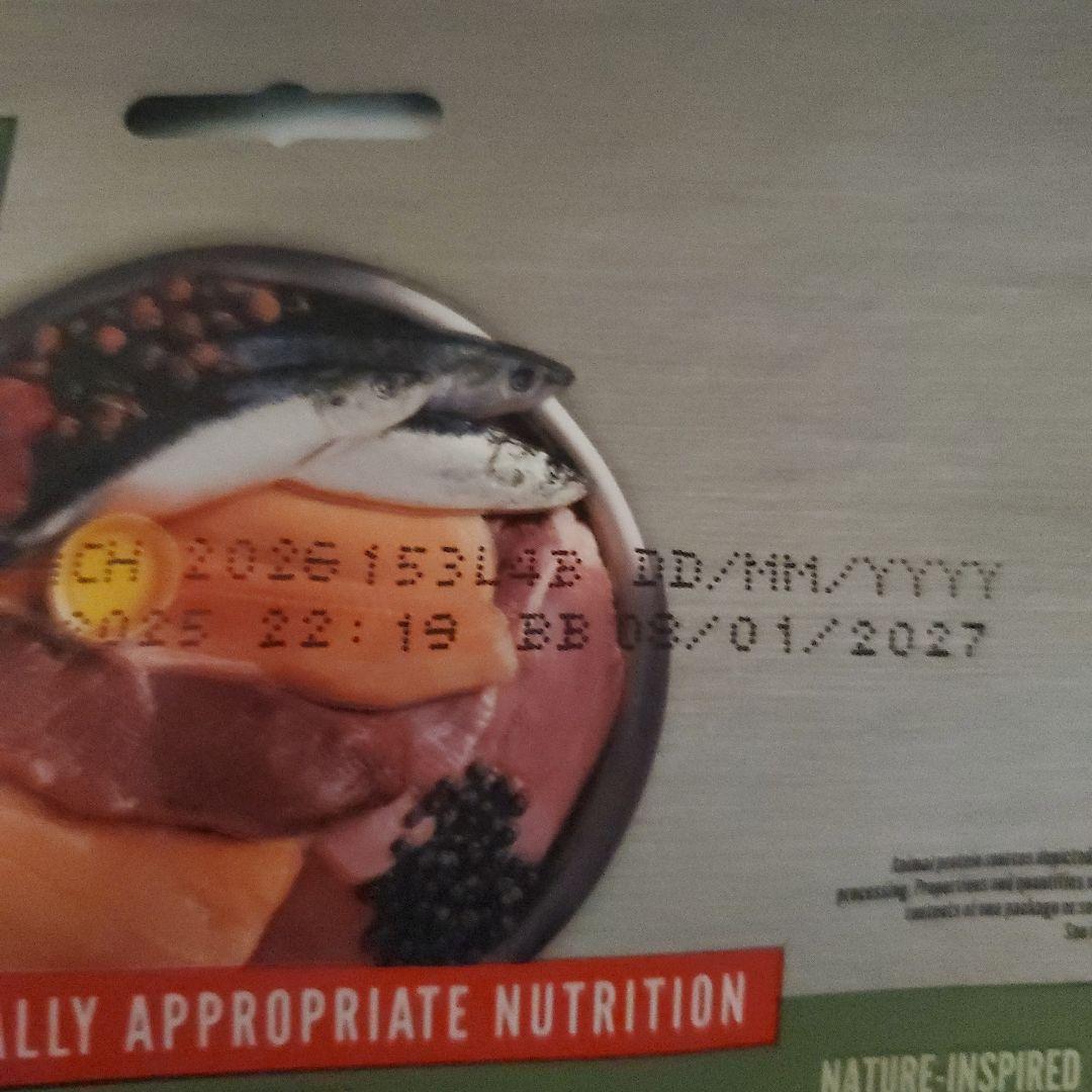 オリジン　Origin　シンドラキャット　シックスフィシュキャット　猫用