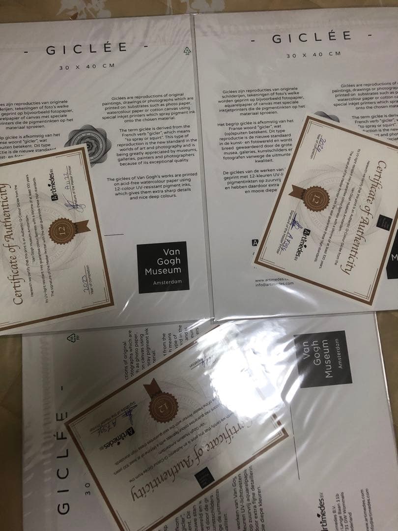 Sサイズ ゴッホピカチュウ ジクレー絵画 30cm×40cm