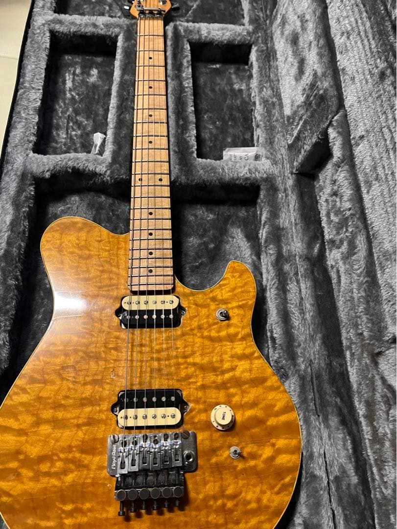 EVHタイプ　工房製