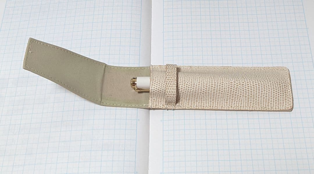 ペリカン 万年筆 M400 (EF) + pilot ケース